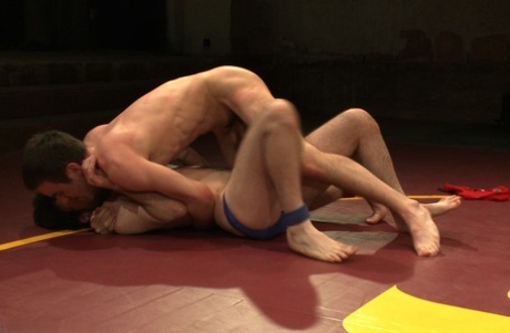 homoseksuel 69er gratis nøgenbilleder billeder