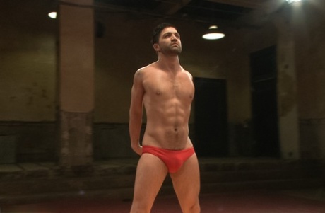 homoseksuelle pubeser fetish kunst sex billede