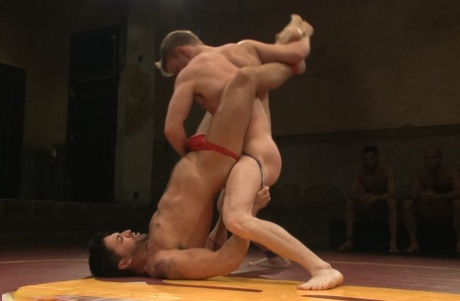 homoseksuel drage dildo top eksklusiv galleri