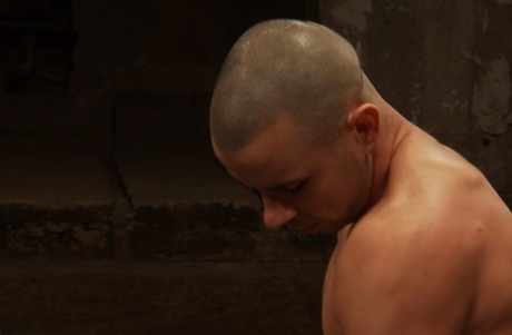 homoseksuel blowjob galleri bedste flot arkiv