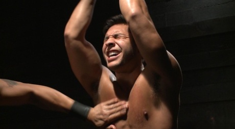 homoseksuel ungkarl porno eksklusiv galleri