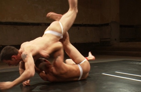 homoseksuel lodden anal plug top Foto