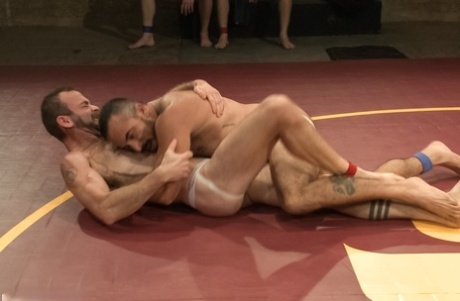 homoseksuel analfetish perfekt voksen Foto