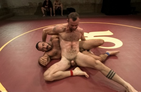 homoseksuel brydning ansigtssitting porno hd gallerier