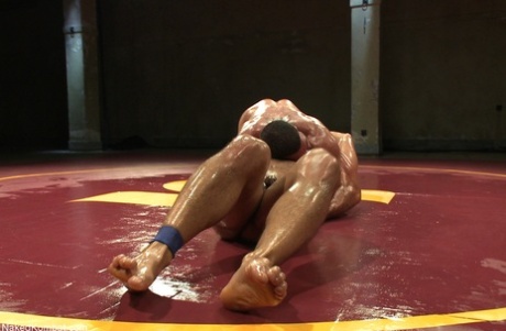 arabisk homoseksuel kamera kunst galleri