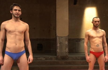twardy wesoły wielki kutas pornografia seksualna obrazy