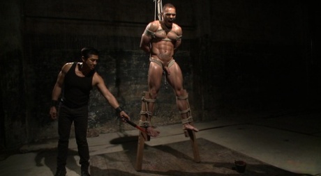 homoseksuel hård sexet kunst fri fotos