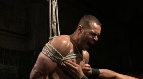 homoseksuelle BBC creampie eksklusiv erotisk gallerier