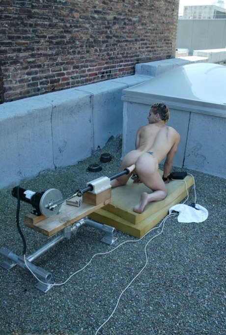 ingefær bøsse solo gratis hd Foto
