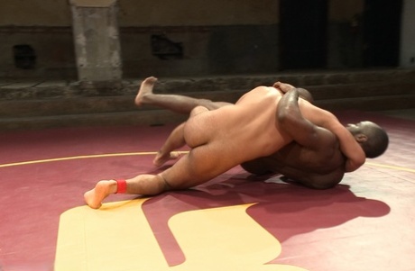 hot homoseksuel blowjob sex erotisk gallerier