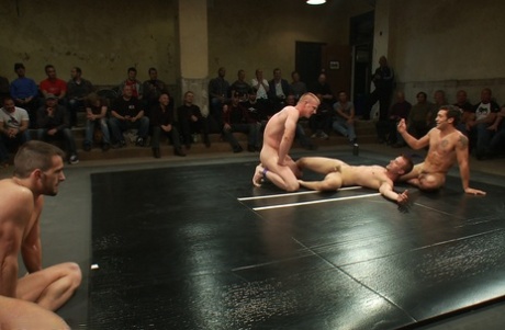 homoseksuel sort store kvinder smuk gratis billeder