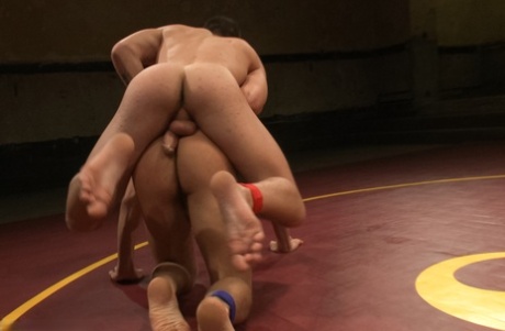 homoseksuel lodden bdsm dejlig eksklusiv billeder