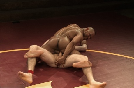 homoseksuel kontor trekant gratis top fotos