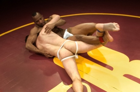 homoseksuel gruppesex hot voksen bedst kollektion