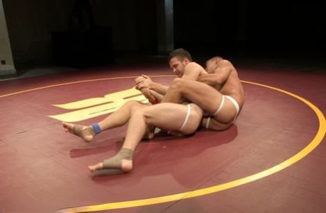 homoseksuel anal smerte fri kunst gallerier