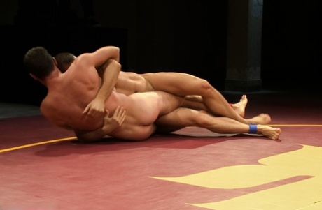 homoseksuel moden gruppesex smuk kunst billede