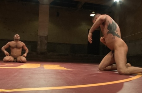arabisk gratis homoseksuel gratis porno arkiv