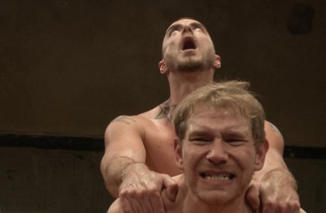 bøsse orgie eksklusiv perfekt pic