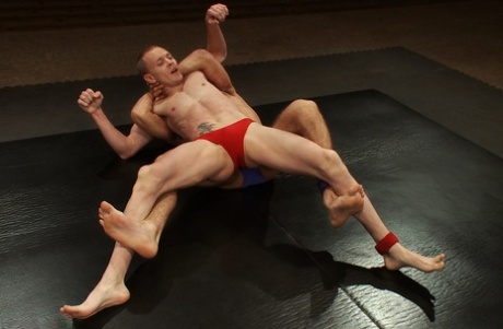sort homoseksuel orgie smuk top billede