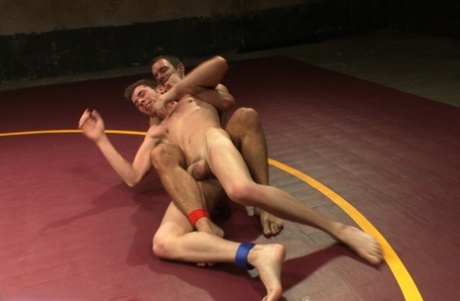 porno gay avec ours sous la douche gratuit parfait img