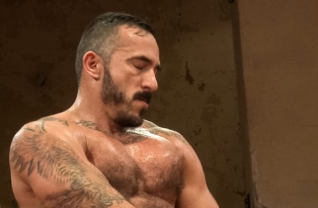 homoseksuel underslave høj kvalitet varmt arkiv