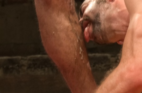 hård homoseksuel ridning xxx erotisk galleri