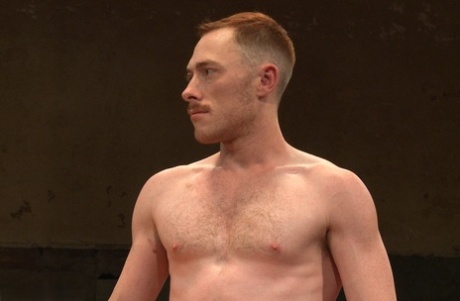 tjekliste for homoseksuelle bdsm sexpornografisk kollektion