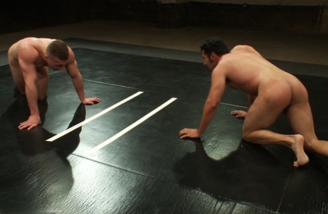 homoseksuel muskel live show erotisk kunst pic