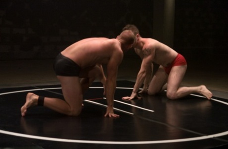gay group breeding art nude image