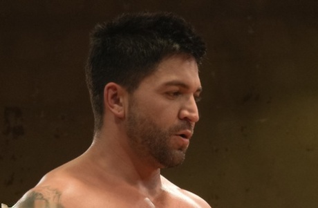 homoseksuel knepning hot porno bedst billeder