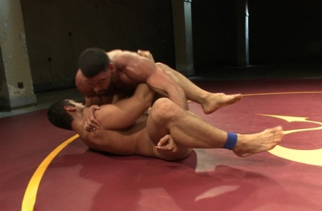 australsk homoseksuel orgie xxx porno fotos