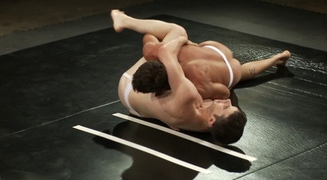 homoseksuel porno på universitetet gratis smuk galleri