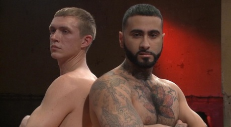 behåret homoseksuel bondage kunst fri kollektion