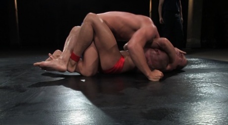 homoseksuel amatør college porno hd flot gallerier