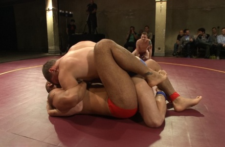 homoseksuel behåret ingefær voksen xxx pic