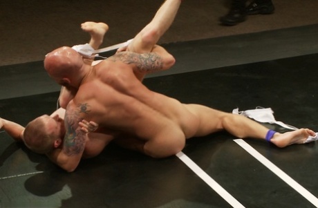 homoseksuel gruppe avl hd flot gallerier