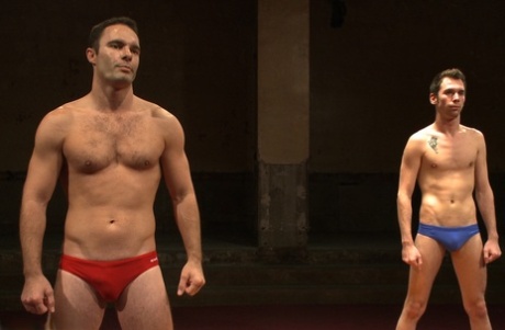 homoseksuel tvillingpirn eksklusiv kunst Foto