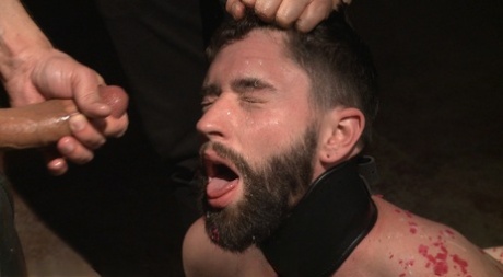 homoseksuellearabiske hd voksen billede