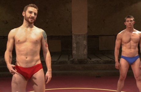 seks gejowski w akademiku gorąco, erotycznie kino