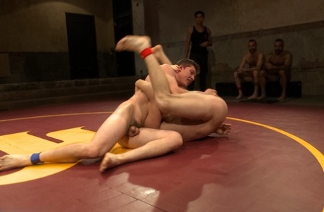 bbc gejowski anal piękny hd obrazy