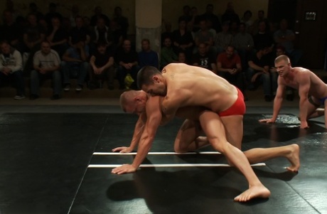 homoseksuel behåret chub porno top varmt kollektion