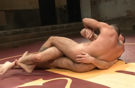 trekant homoseksuel porno gratis eksklusive nøgenbilleder galleri