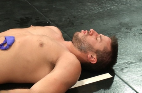 homoseksuel anal trusser porno galleri