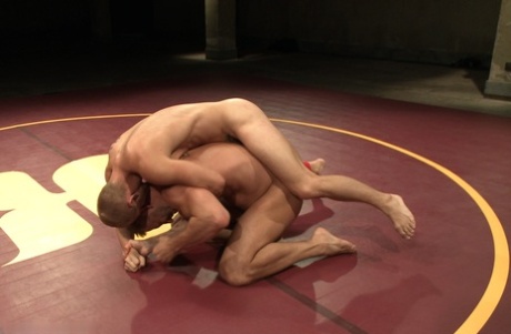 homoseksuel bondage poen xxx billede