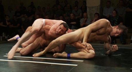 asiatisk og latino bøsseporno hd kunst kollektion