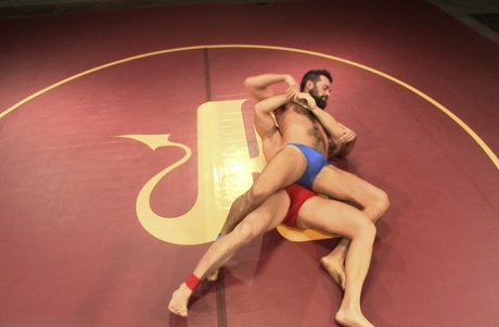 homoseksuel 69 sluge dejlig gratis pic