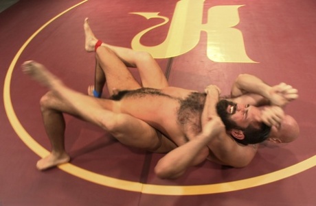 homoseksuel 69-stil voksen gratis billeder