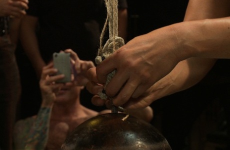 homoseksuel porno strand spion voksen gratis gallerier