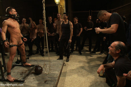 homoseksuel far bdsm porno xxx nøgen billeder