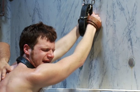 kæmpe homoseksuel barback orgie pornografisk perfekt Foto
